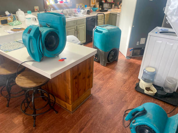 Best Residential water damage restoration  in Galesburg, MI