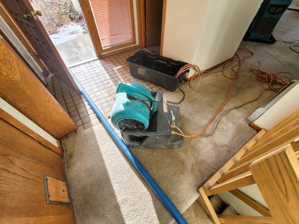 Best Ceiling water damage repair  in Galesburg, MI
