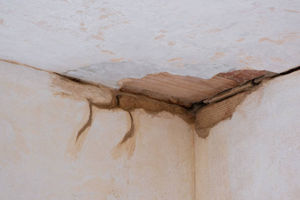 Best Basement water damage restoration  in Galesburg, MI