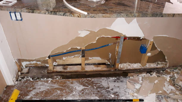 Best Water damage restoration company  in Galesburg, MI