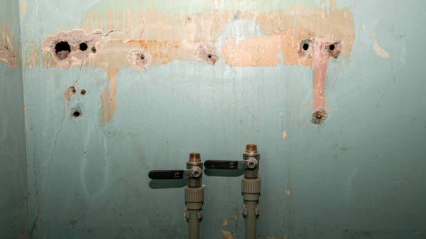 Best Mold removal after water damage  in Galesburg, MI