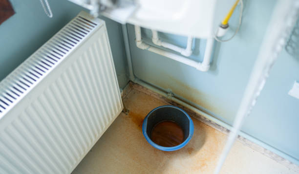 Best Flooded house restoration  in Galesburg, MI