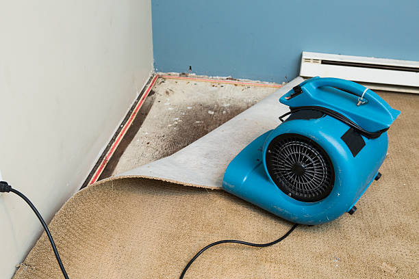  Galesburg, MI Water damage restoration Pros